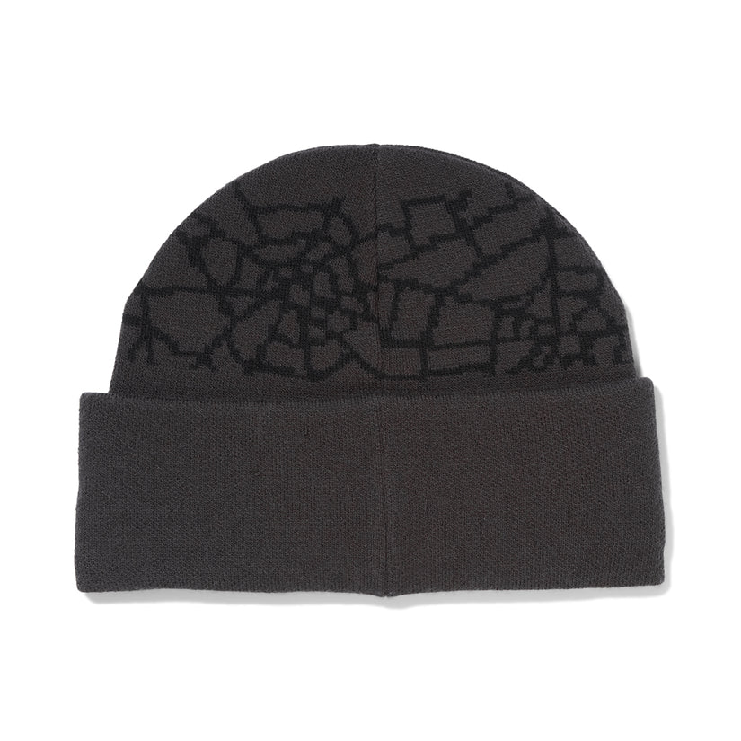 Mens Nebula Beanie - Polar (2023)